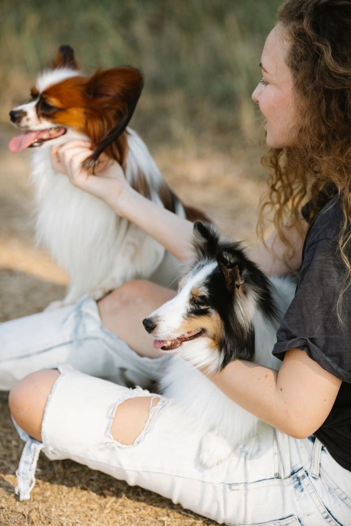 Services A woman petting a Papillon and Shetland Sheepdog outdoors, showcasing their camaraderie and joy.